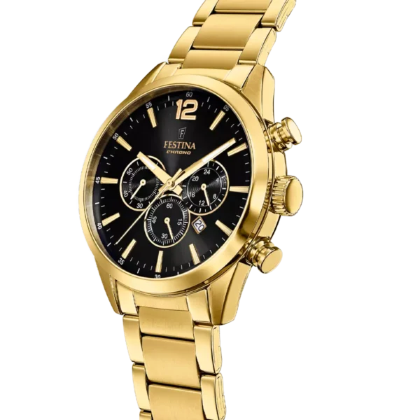 Reloj Festina Timeless Chronograph
